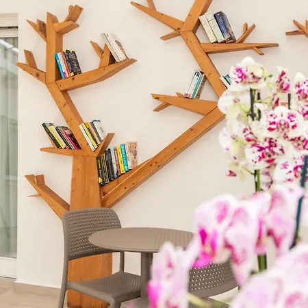 Aras Boutique Ξενοδοχείο